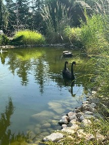 продаваме двустаен апартамент в затворен комплекс в Слънчев Бряг