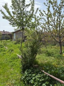 Област Стара Загора, гр. Казанлък