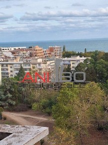 Област Варна, гр. Варна, Чайка