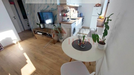 Област Велико Търново, гр. Велико Търново, Бузлуджа