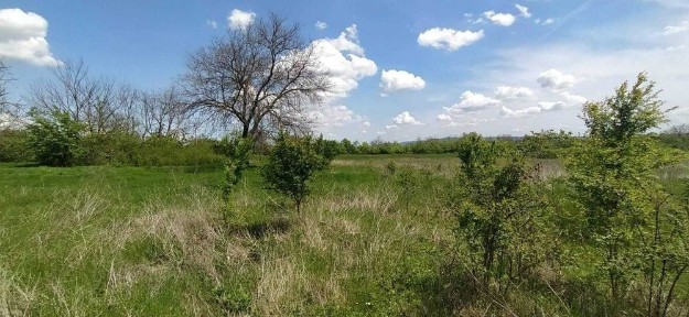 Област Варна, с. Славейково