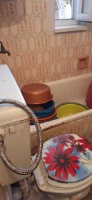 Област Велико Търново, гр. Велико Търново, Акация