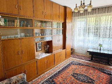 Област Плевен, гр. Плевен, Сторгозия