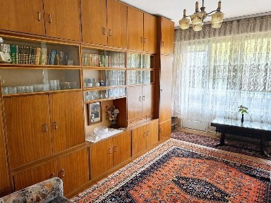 Област Плевен, гр. Плевен, Сторгозия