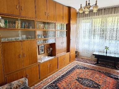 Област Плевен, гр. Плевен, Сторгозия