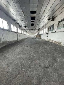 Област Търговище, с. Камбурово