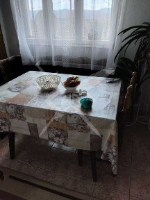 Едноетажна къща в село Прилеп 98700