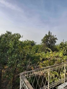 Област Варна, гр. Варна, Възраждане 2