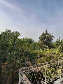 Област Варна, гр. Варна, Възраждане 2
