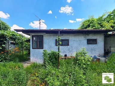 Област Габрово, гр. Дряново