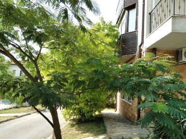 Къща 345 м2, Траката