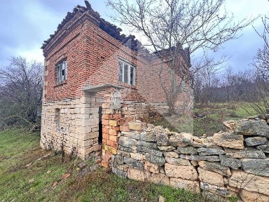 Продава къща с 1,5 дка двор в с. Сечище, общ. Нови пазар.
