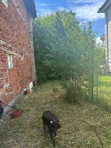 Област София-област, гр. Божурище