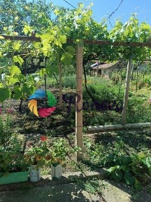 Къща в Варна, област-с. Житница с двор 2226 м2 цена 41990 евро