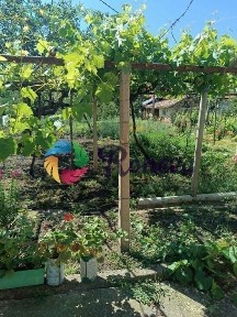 Къща в Варна, област-с. Житница с двор 2226 м2 цена 41990 евро