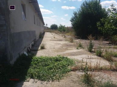 Област Варна, с. Левски