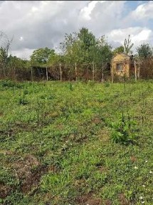 Продавам стара къща с дворно място