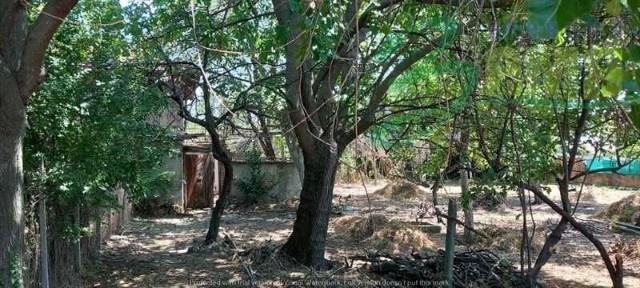 Област Стара Загора, с. Богомилово