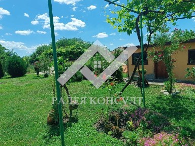 Обзаведена къща с озеленен двор в с. Скутаре