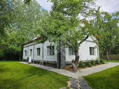 Къща в село Драгичево, област Перник № 45454