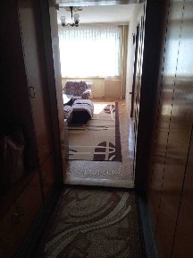 Област Велико Търново, гр. Велико Търново, Акация