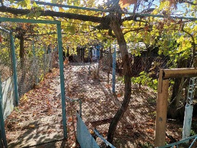 Къща в с. Пъстрен 54741