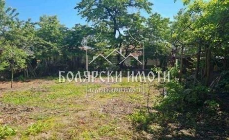 Област Велико Търново, гр. Дебелец